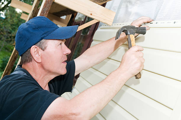 Best Custom Siding Design  in Porcupine, SD
