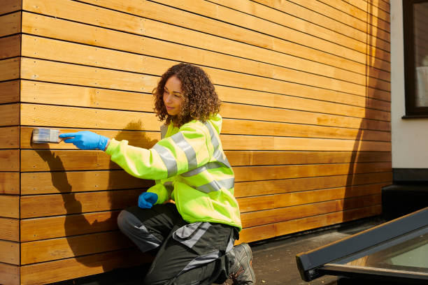 Best Insulated Siding Installation  in Porcupine, SD